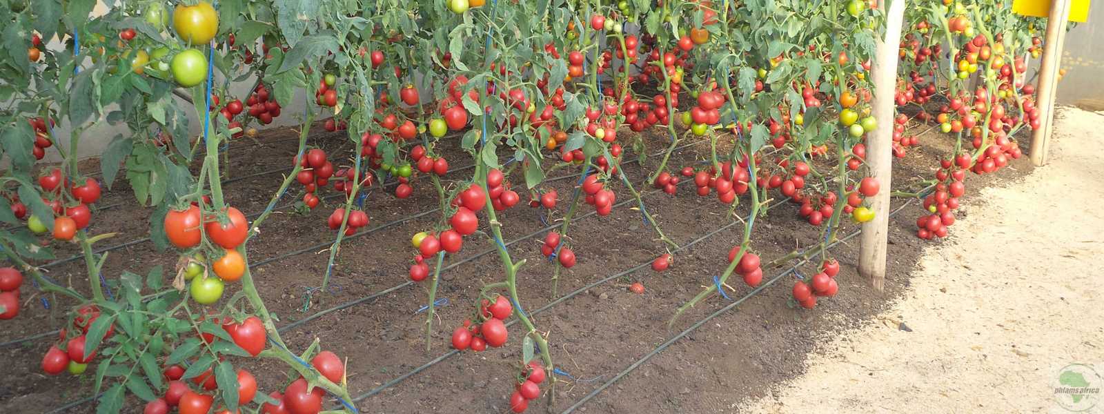 New Methods of Farming